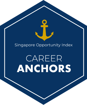 CAREER ANCHORS